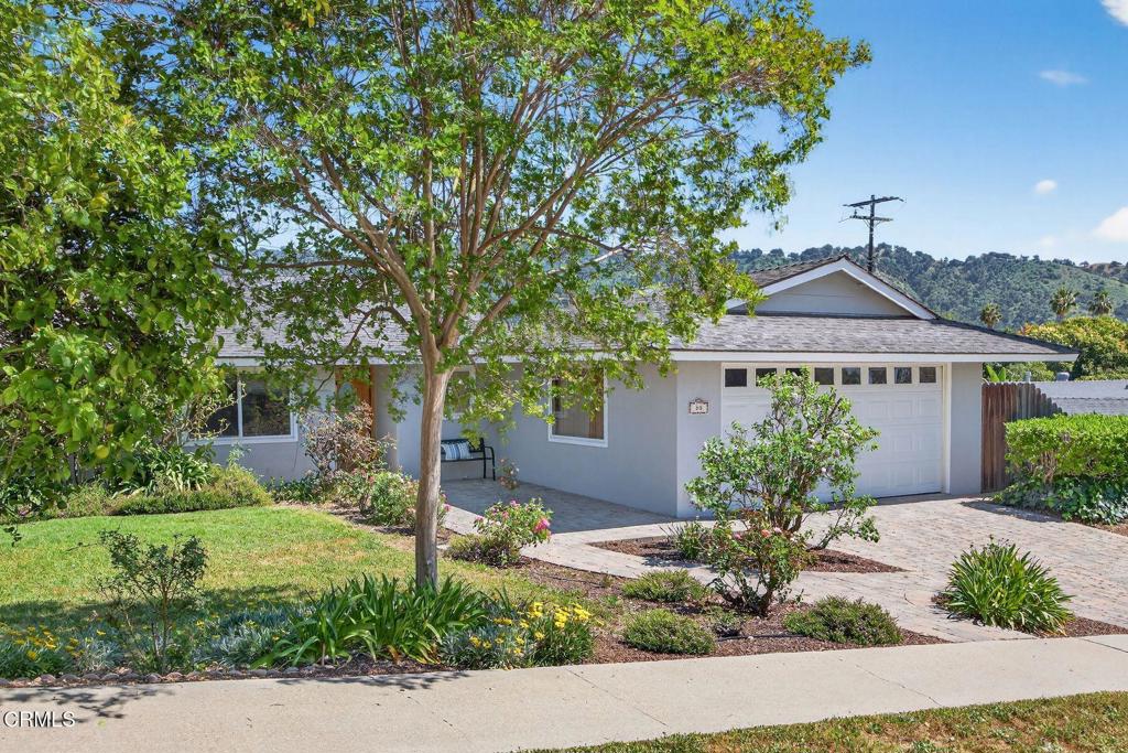 80 Pathelen Avenue