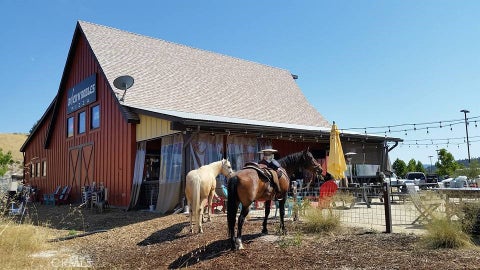 Tiny photo for 3000 Gold Rush LN, Paso Robles, CA 93446 (MLS # NS26132915)