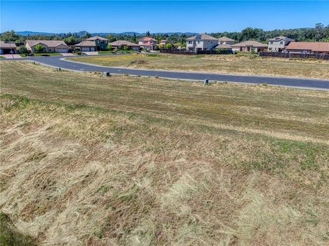 Photo of 2776 Lizzy LN, Lakeport, CA 95453 (MLS # LC26090918)