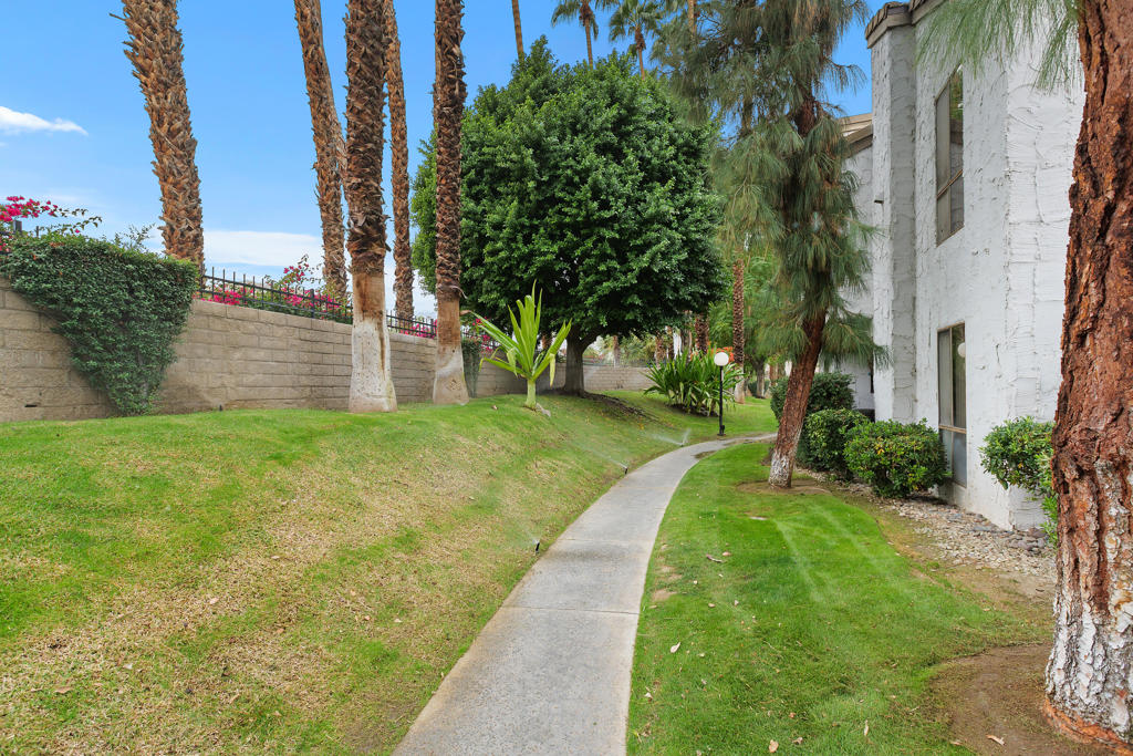 Palm Canyon Villas - Residential