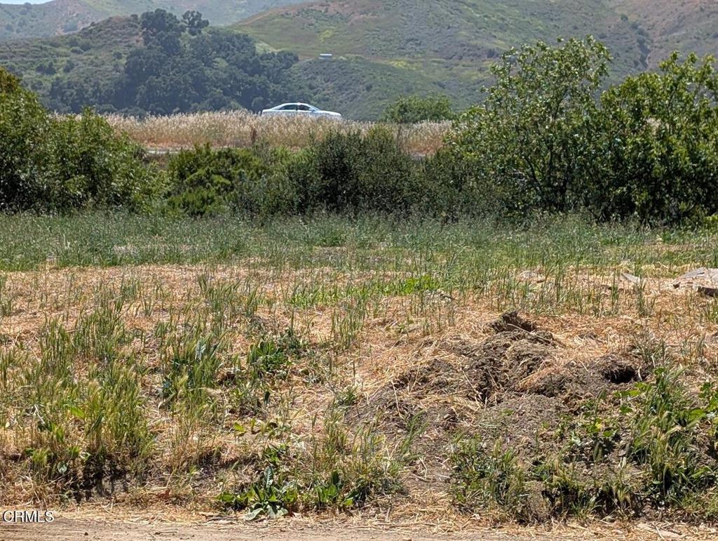 Buildable portion of lot is flat and level. There is no neighbor behind the lot, and an avocado orchard is the neighbor to the north.Much of lot includes the channel in back of the lot. Listing Broker is the lot owner.