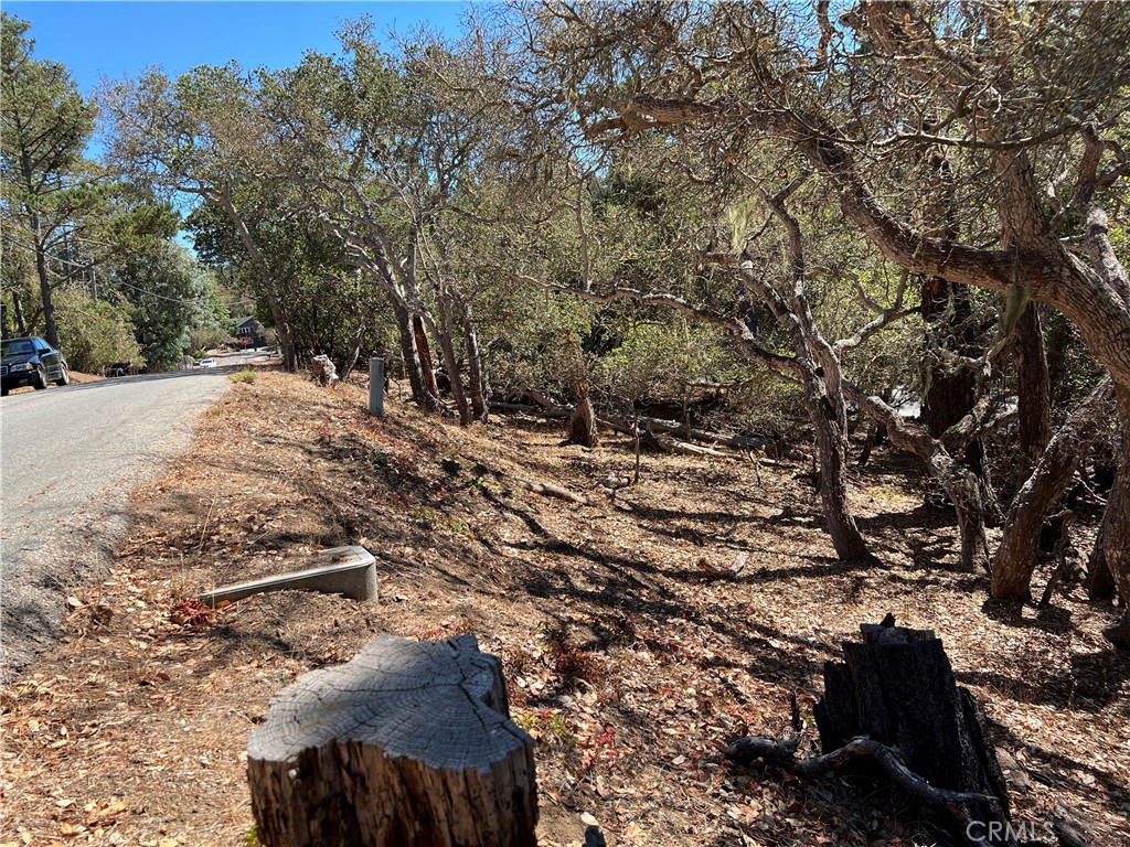 Lodge Hill(430) - Land