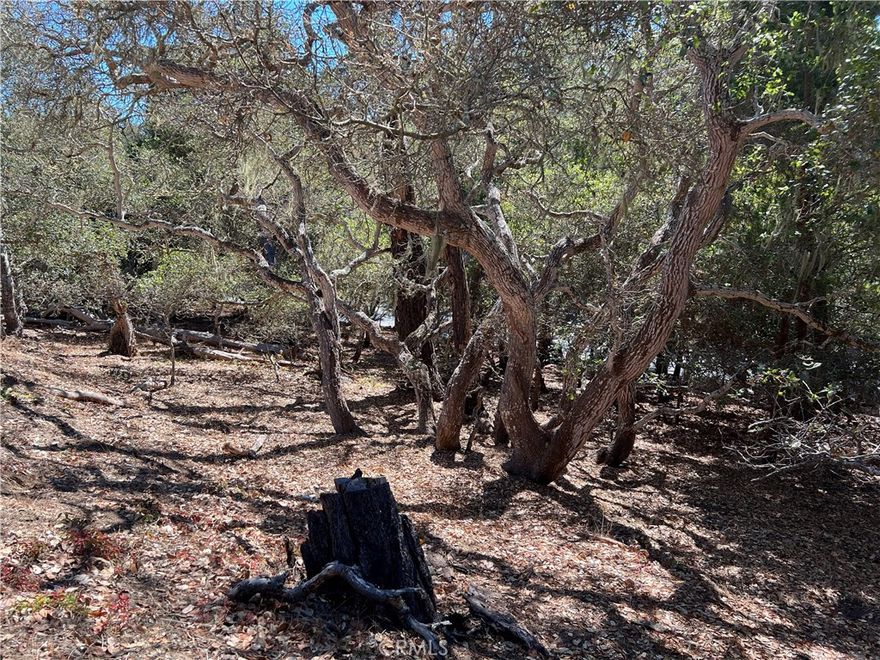 Leona Dr sloping down to Ardath Drive, a street to street oversize double lot +-4250sf. #146 on County Allocation list. Forest views, low traffic paved road. Easy access to Hwy One or head West to the Beach. Offered for $15,000.