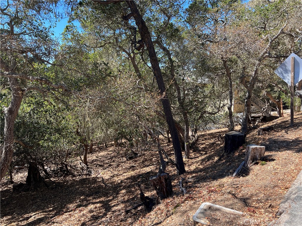 Lodge Hill(430) - Land