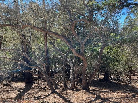 Tiny photo for 2275 Leona Drive, Cambria, CA 93428 (MLS # SC25202937)