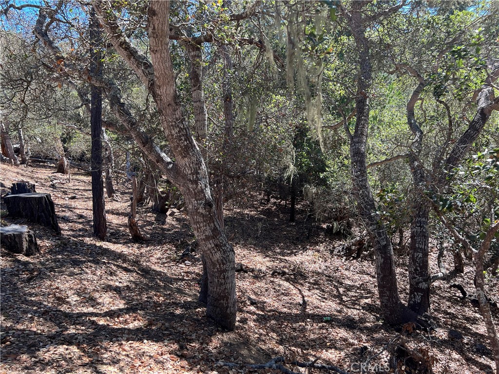 Lodge Hill(430) - Land