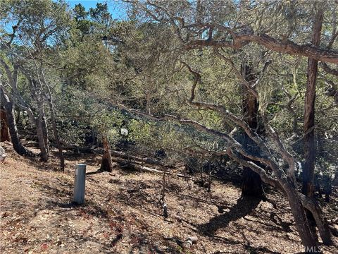 Tiny photo for 2275 Leona Drive, Cambria, CA 93428 (MLS # SC25202937)