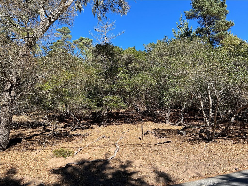 Lodge Hill(430) - Land