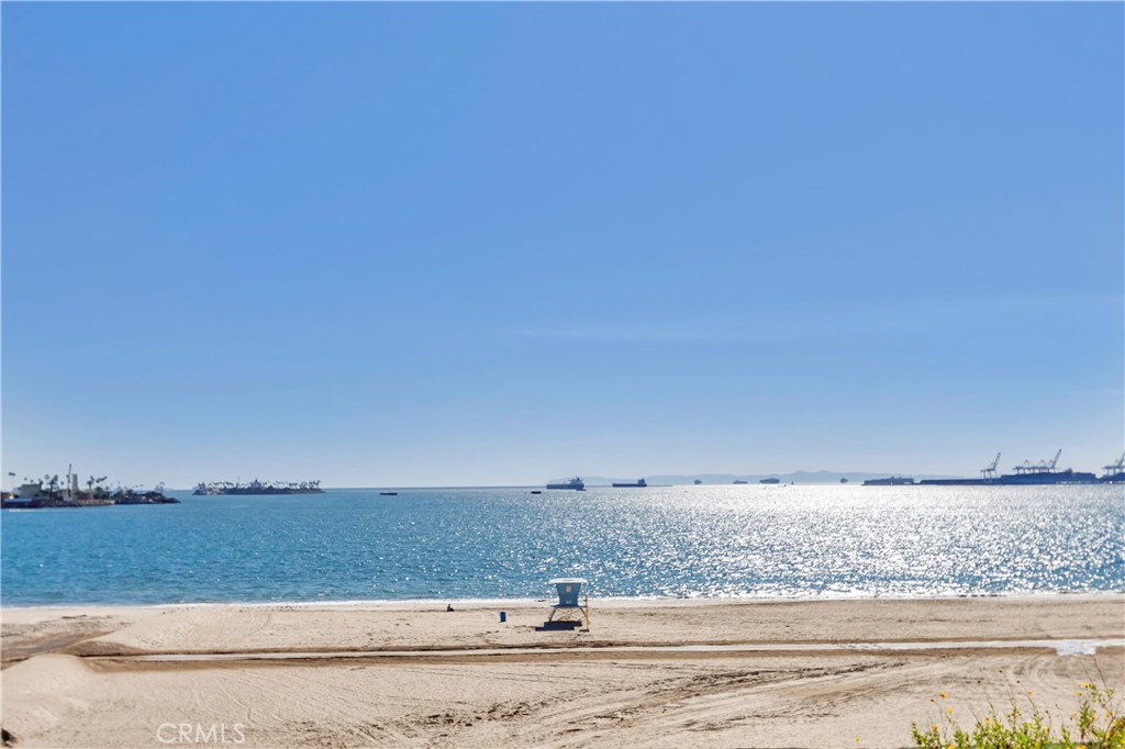 354 chestnut avenue 2