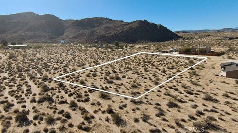 Photo of 6883 Peterson, 29 Palms, CA 92277 (MLS # JT25273646)