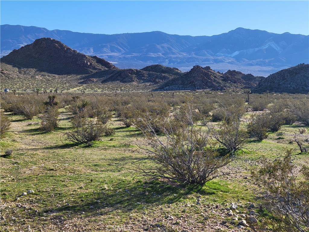 0 Rabbit Springs Road
