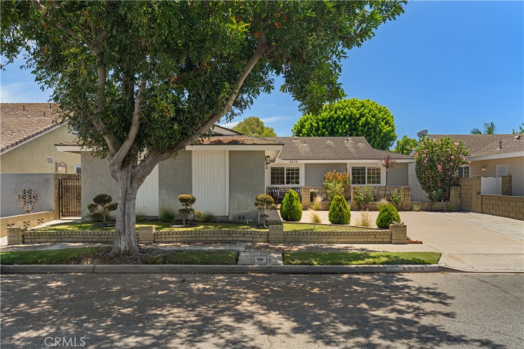 4656 Hazelnut Avenue