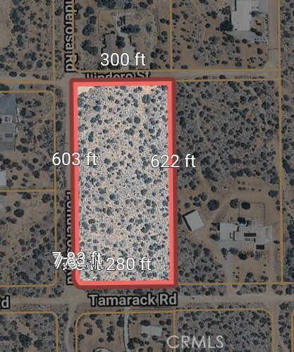12 Tamarack