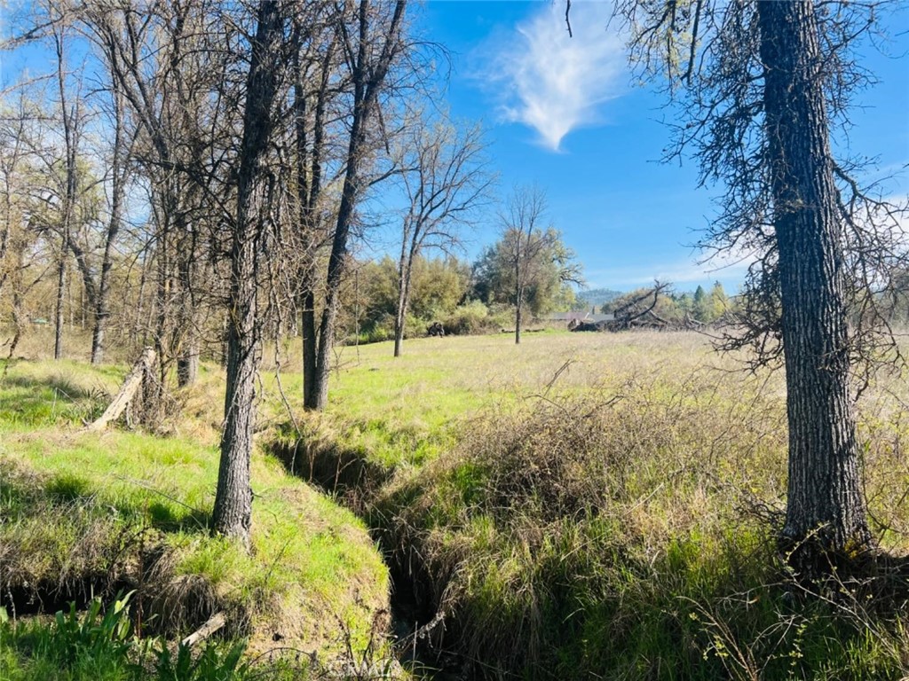 Discover 2.86 acres of usable, tree-studded land in the desirable Pike Ranch subdivision. This beautiful lot offers plenty of space to build your forever home, with room to roam and explore. Enjoy stunning sunsets and a peaceful setting, all just minutes from town. Conveniently located with easy access to Bass Lake, Yosemite National Park, and all the best that the Sierra foothills have to offer. Don't miss this opportunity to own a slice of mountain paradise!