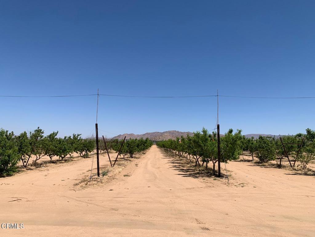 Turnkey Farm with Water, Power, and Equipment IncludedNearly 20 acres of flat, usable land in Apple Valley with electricity, a private well, and established orchards featuring cherries, apples, persimmons, Asian pears, and Shine Muscat grapes. Sale includes all farming equipment, with tractor and solar system payments to be assumed by buyer. Zoned RL for flexible use--farm, ranch, or homestead--with room to expand. Enjoy mountain and desert views while staying close to town and schools.Prime Apple Valley acreage + working farm = unbeatable value!
