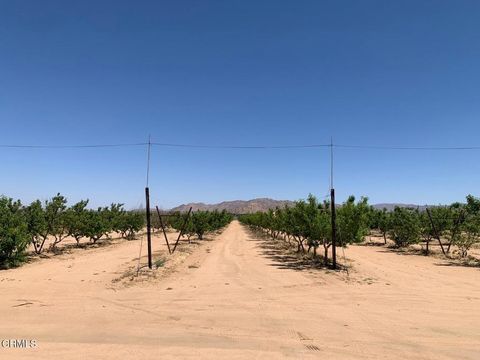 Photo of 24055 Ottawa Road, Apple Valley, CA 92307 (MLS # P1-24099) Photo of 24055 Ottawa Road, Apple Valley, CA 92307 (MLS # P1-24099)