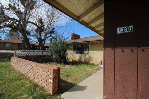 Photo of 7380 Dumosa Ave, Yucca Valley, CA 92284 (MLS # JT26043983)