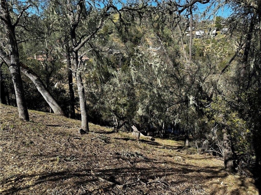 8209 Woody Point
