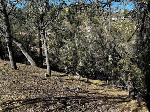Tiny photo for 8209 Woody Point, Bradley, CA 93426 (MLS # PI26139356)