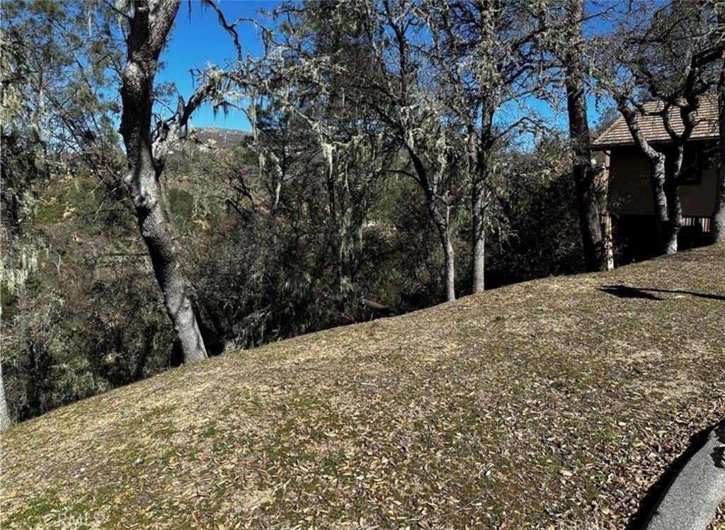 8209 Woody Point