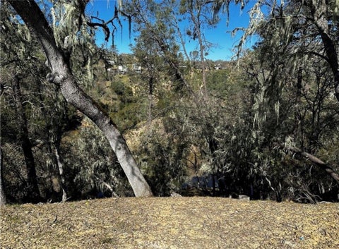 Tiny photo for 8209 Woody Point, Bradley, CA 93426 (MLS # PI26139356)