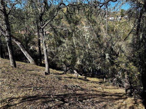 Tiny photo for 8209 Woody Point, Bradley, CA 93426 (MLS # PI26139356)