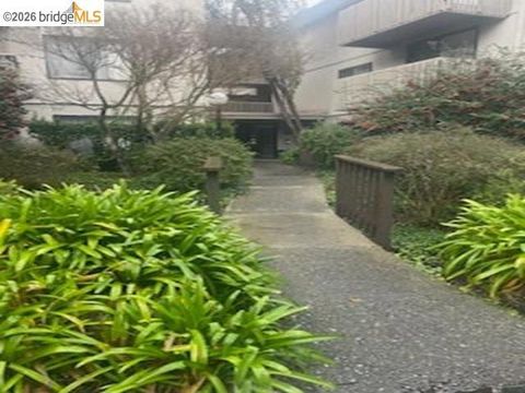 Photo of 7246 7246 Shelter Creek Ln Ln, San Bruno, CA 94066 (MLS # 41124891)