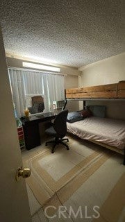 25204 Starr Street 4+