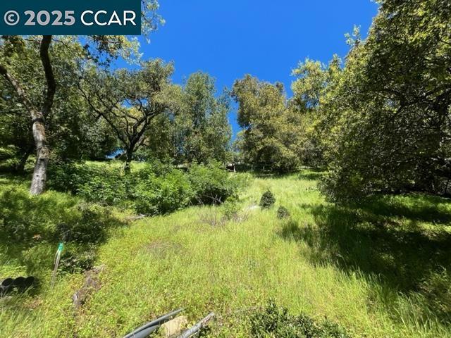 Rare opportunity to take over the work that has been completed for a 5000+/- sq ft modern downslope home offering ultimate privacy, views and great southern exposure. A past planning approval allows the buyer to put their touches on the design and expedite the approval process. The driveway design allows for great onsite parking with a motor court. Located off a scarcely traveled road with easy freeway access. Close to downtown Orinda and Lafayette, Top Ranked Schools surrounded by multimillion dollar homes.