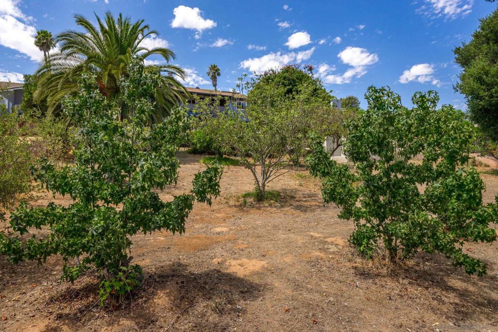 South Escondido - Residential