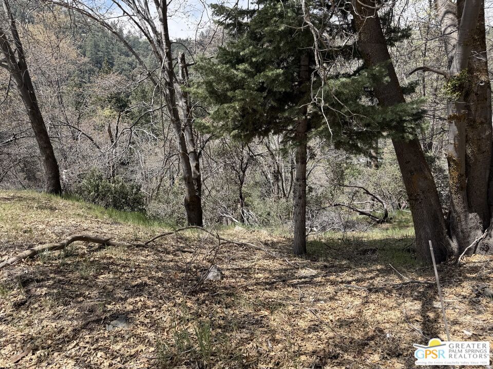 6032 Tripp Lane