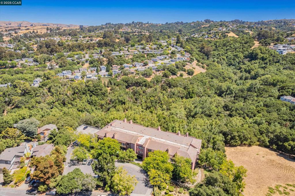 HAYWARD HILLS - Residential