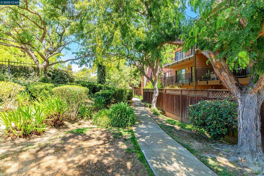 HAYWARD HILLS - Residential