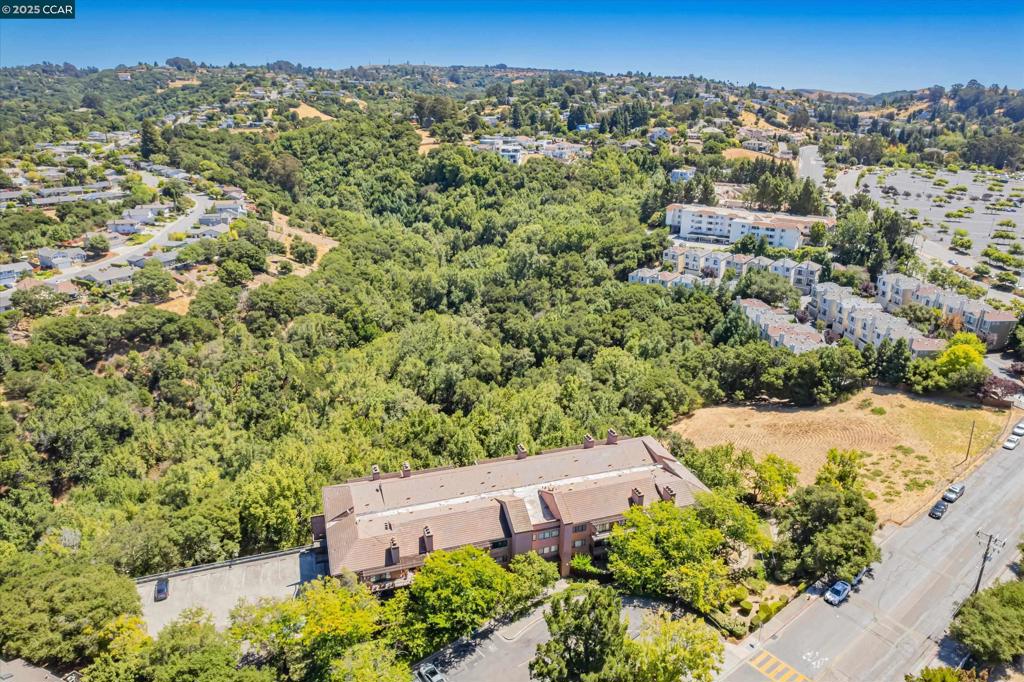HAYWARD HILLS - Residential