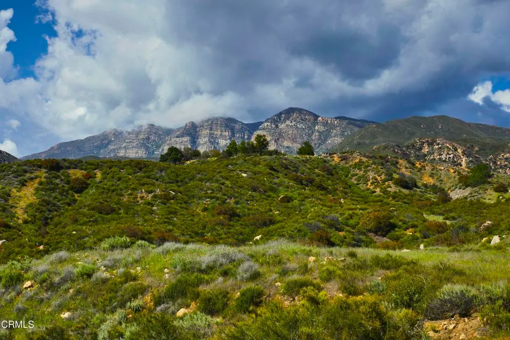 Santa Paula, California 93060, United States, 3 Bedrooms Bedrooms, ,2 BathroomsBathrooms,Residential,Active,136988