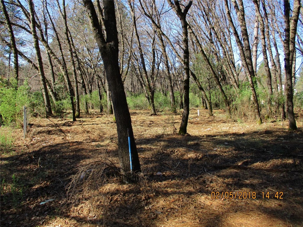 Two for the price of One! Check this out! One plus acre of land that is two legal half acre parcels. Many possibilities with being separate lots. Build two houses or have plenty room with one full acre. Lots were never built on so you get a clean slate with nice trees and a valley view. Come take a look.