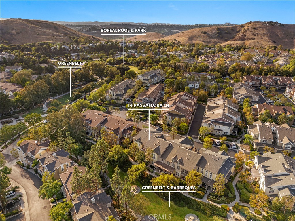 Branches (BRAN) - Residential
