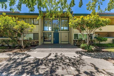 Photo of 1731 Ellis St ST #16, Concord, CA 94520 (MLS # 41136010)