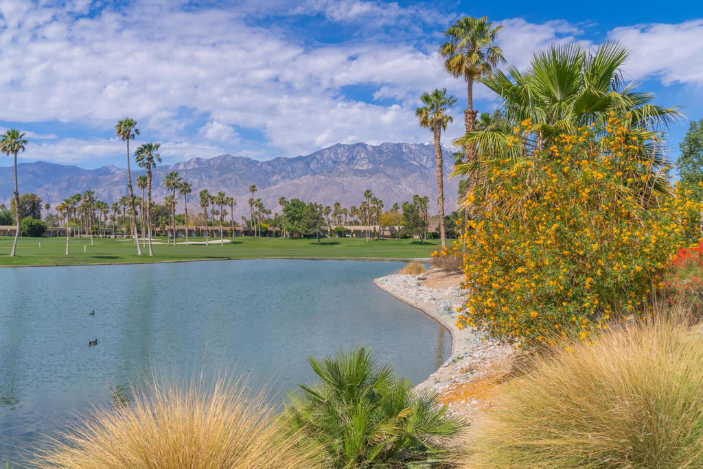 Desert Princess - Residential Lease