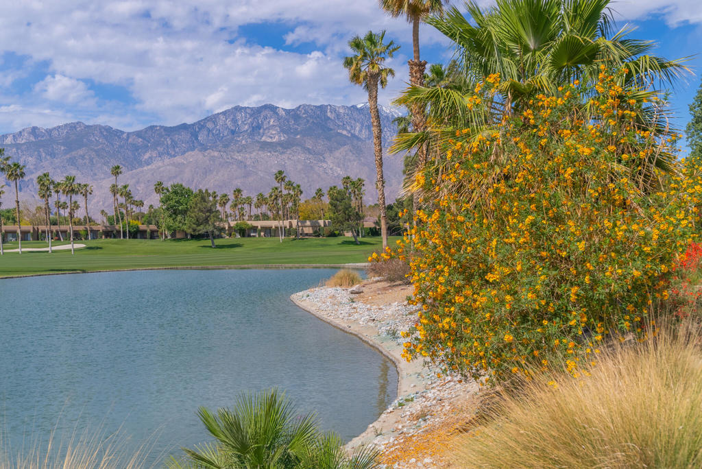 Desert Princess - Residential Lease