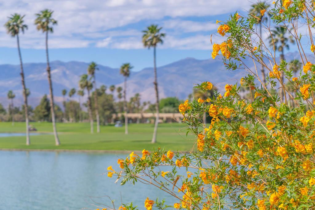 Desert Princess - Residential Lease
