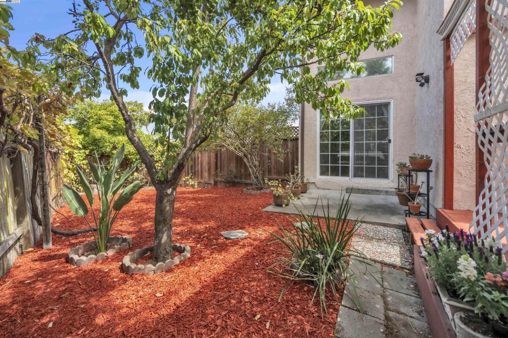 CENTRAL HAYWARD - Residential