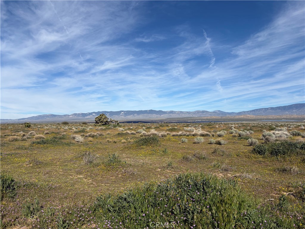 0 Drylake