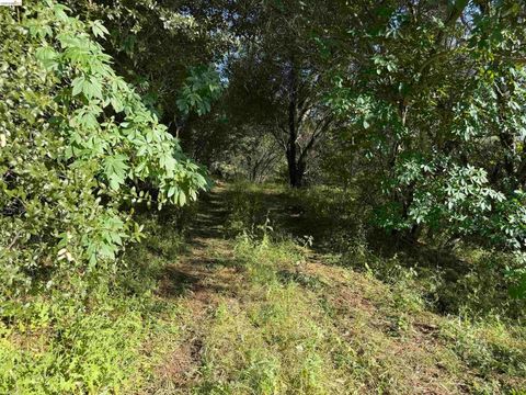 Photo of 4320 Usona Rd RD, Mariposa, CA 95338 (MLS # 41136002)