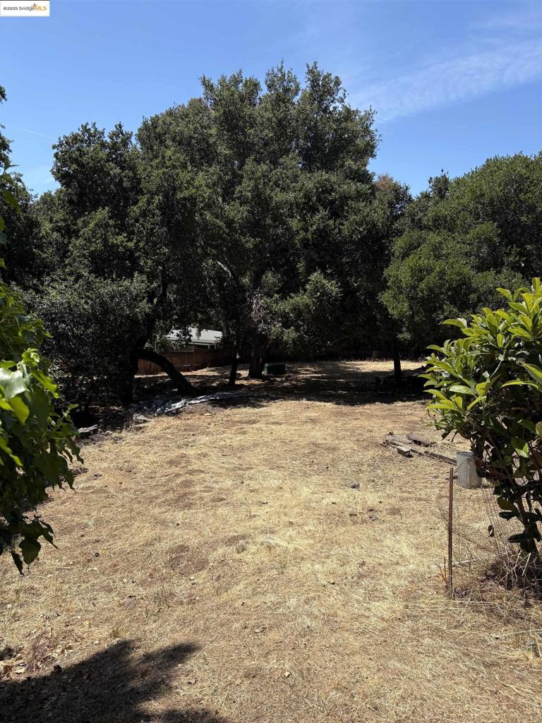 Fabulous opportunity to build one or two homes on one lot in Leona Heights. Beautiful .29 acre of gently sloped land with a few oaks and plum and peach trees. Zoned RH-4, lot is ready for your dreams. Close to Highway 13, 580, Merritt College, parks and hiking trails. Central East Bay location.