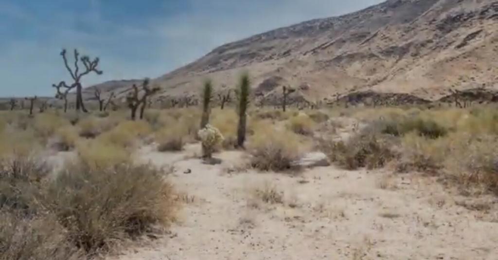 Not Applicable-1 - Land