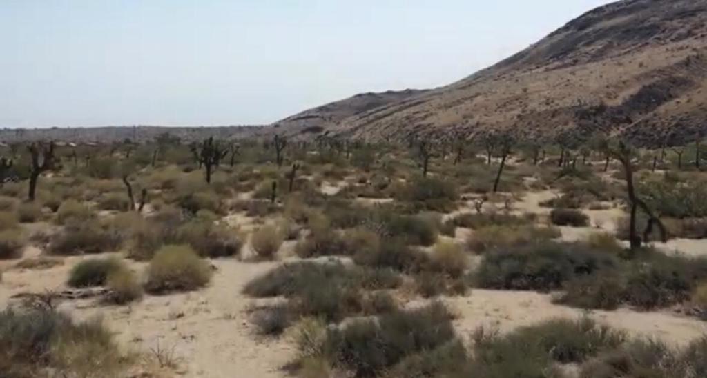 Not Applicable-1 - Land