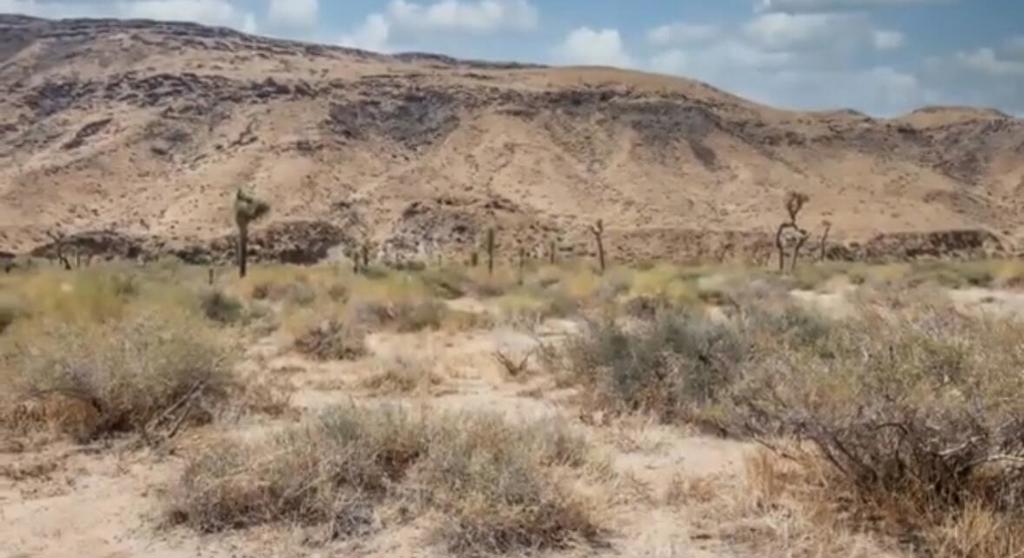 Not Applicable-1 - Land