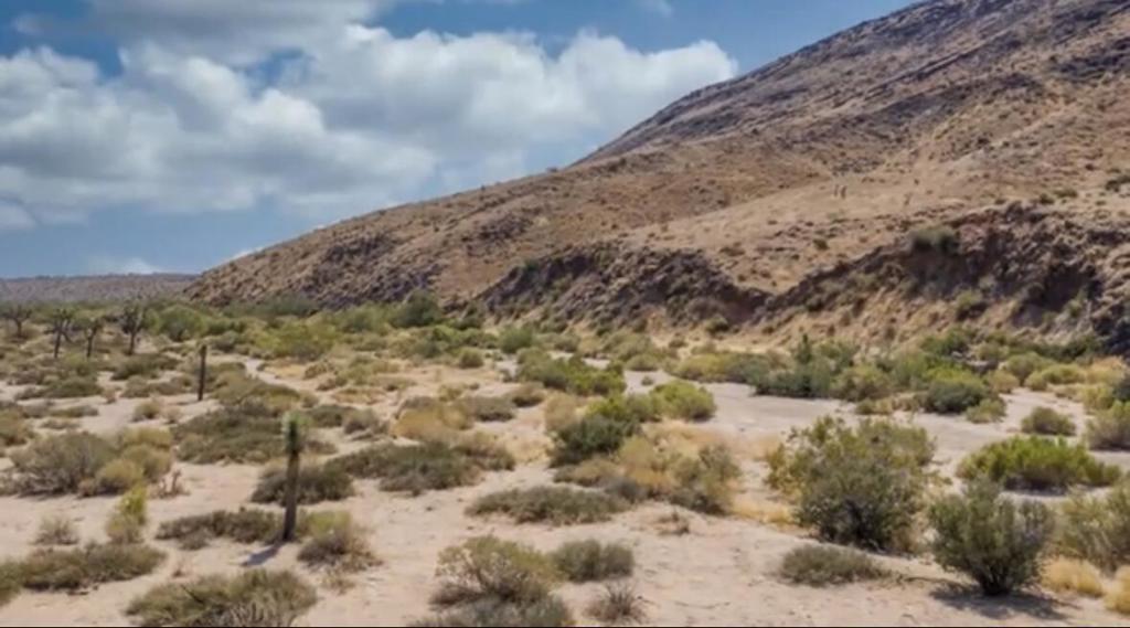 Not Applicable-1 - Land