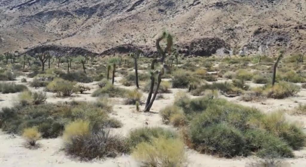 Not Applicable-1 - Land